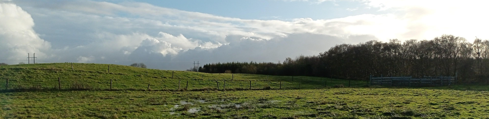 Clonfad Solar Farm Peat Assessment banner head image