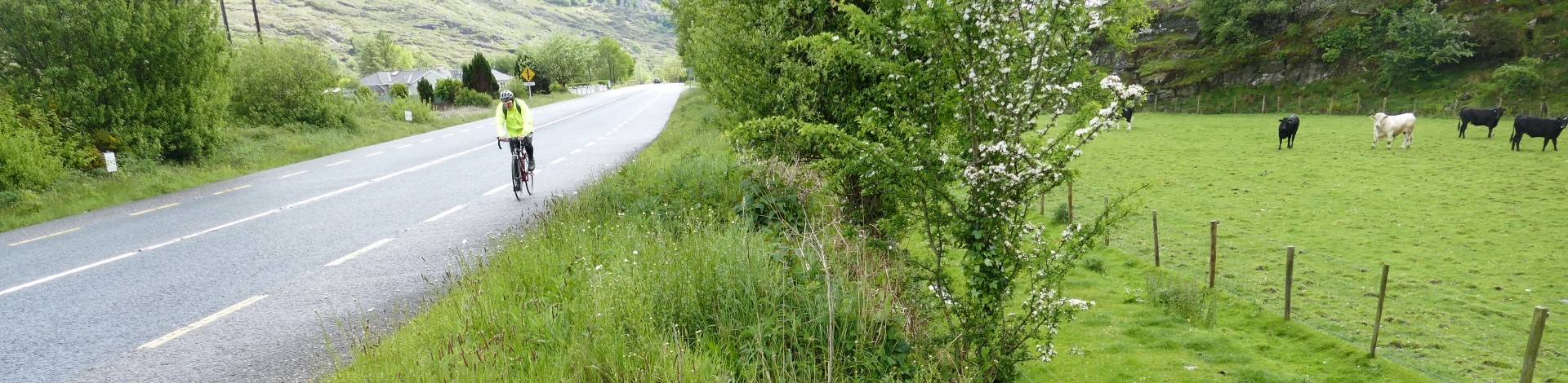 Image of N22 Garries Bridge Flood Alleviation Scheme